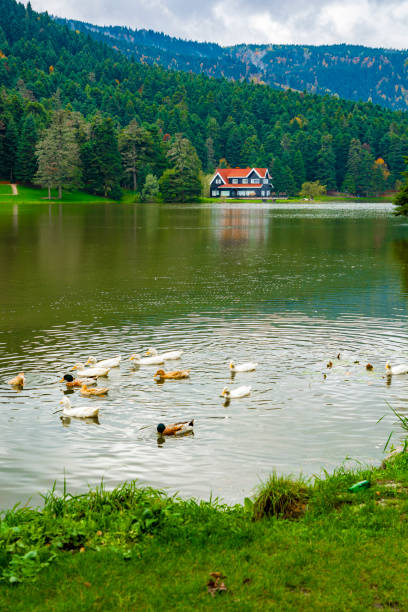 Bolu, Turkey. In the middle of the national park, between the trees and by the lake, this building is a special building belonging to the presidency.