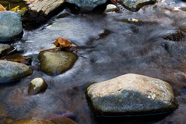 Swirly Stream stock photo