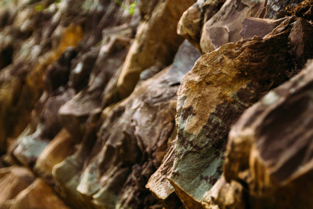Discover the weathered memory within the gaps of the stone wall, revealing the passage of time and nature's touch.