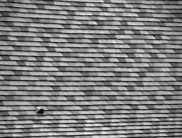 istock Roof BnW alternation tiles 1056174650