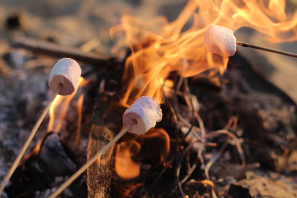 feuer gerösteten murshmallows - marshmallow stock-fotos und bilder