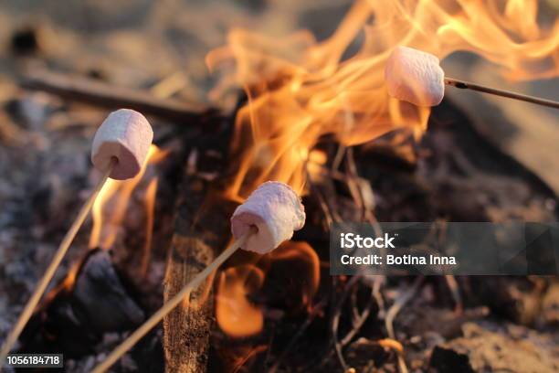 Fire Roasted Murshmallows Stock Photo - Download Image Now - Marshmallow, Campfire, Roasted