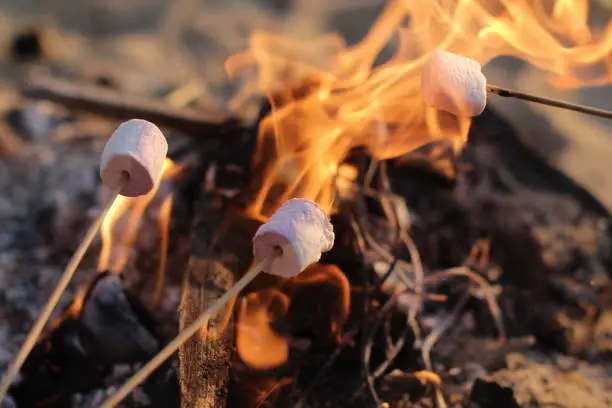 Photo of fire roasted murshmallows