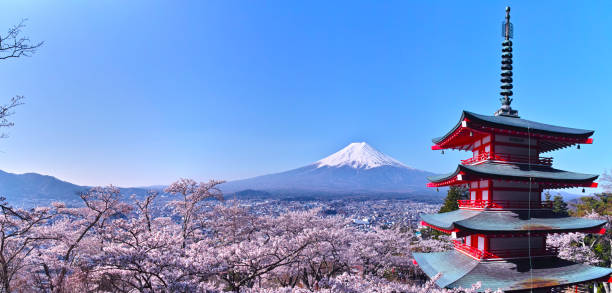 Fujiyoshida, Japan-April 10, 2018: Five story pagoda and Mt. Fuji in Niikurayama Sengen park in Fujiyoshida City, Yamanashi Prefecture. This tower is a memorial tower of the war dead. In April, cherry blossoms in the park will be in full bloom.