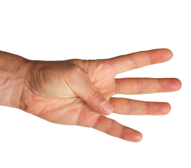 istock hand counting with fingers on white background 1056188576