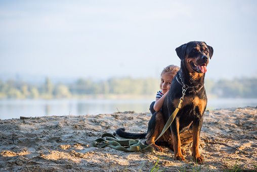 Young girl with rottweiler in wood near lake in morning