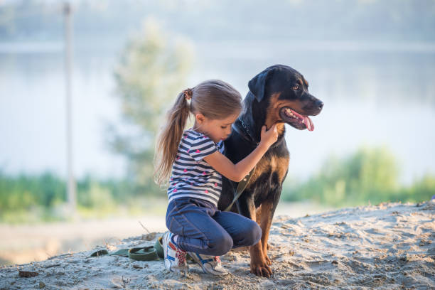 istock Girl with rottweiler 1056196712