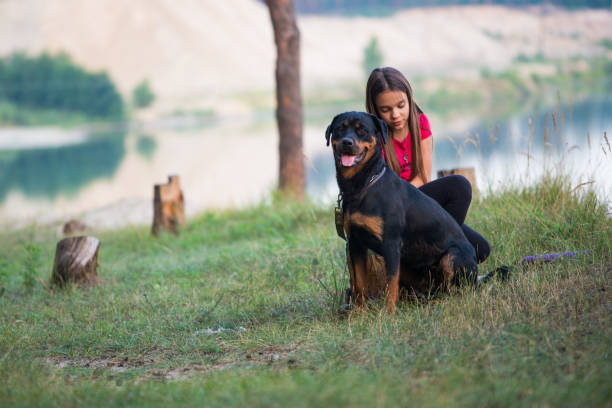 Young girl with rottweiler in wood near lake in morning