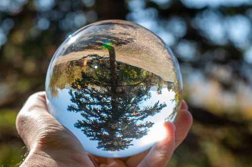 Closeup of a glass ball held up by a human hand reflecting the wooded area inside the sphereCloseup of a glass ball held up by a human hand reflecting the wooded area inside the sphere