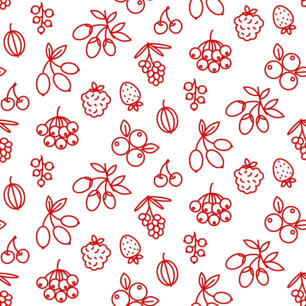 ilustrações de stock, clip art, desenhos animados e ícones de berries icon pattern superfood rosehip, strawberry, acai, raspberry, juniperus, cranberry, sea buckthorn, cherry, blueberry, goji, blackberry, currant. - blackberry bush plant berry fruit