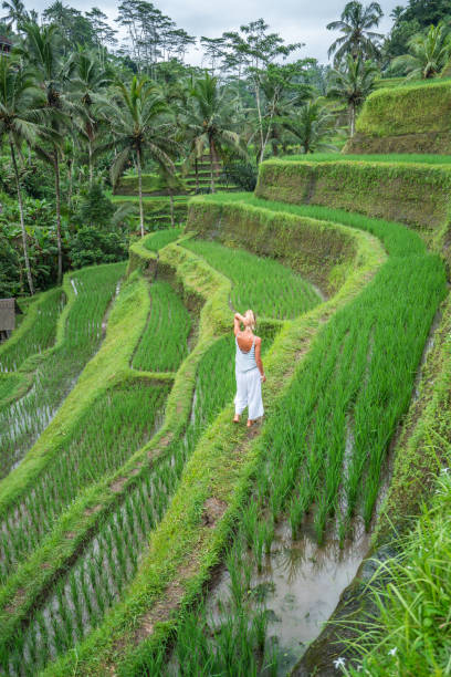 istock Girl enjoying walking in rice terrace 1056204776