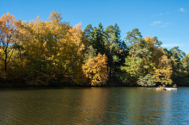 istock Autumn landscape in Russia 1056205304