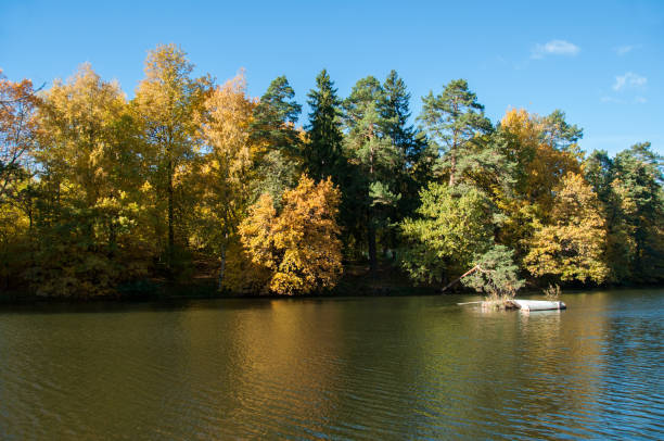 istock Autumn landscape in Russia 1056205320
