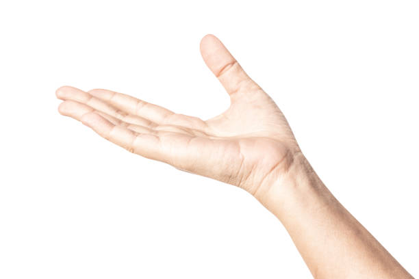 istock Hand open and ready to help or receive. Gesture isolated on white background with clipping path. 1056214878