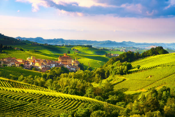 langhe panorama de vignobles, village de barolo, piedmont, italie europe. - chianti region photos et images de collection