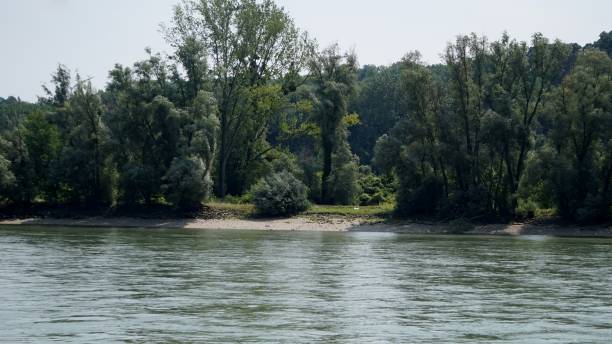 istock Shore of the Danube River 1056220812