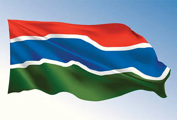 Vector illustration of Gambia Flag