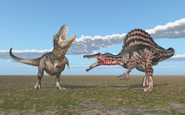 istock Tyrannosaurus Rex and Spinosaurus 1056221136