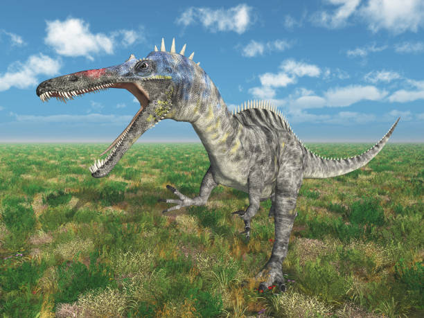 istock Dinosaur Suchomimus in a landscape 1056223872
