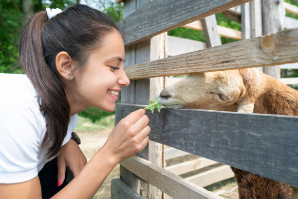 istock Little more for you 1056224152