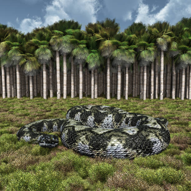 Computer generated 3D illustration with the prehistoric giant snake Titanoboa
