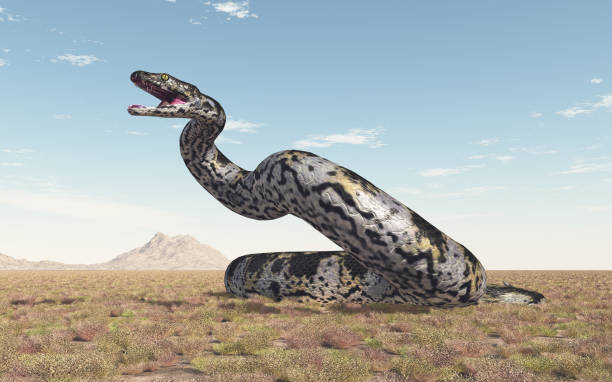 Prehistoric giant snake Titanoboa stock photo