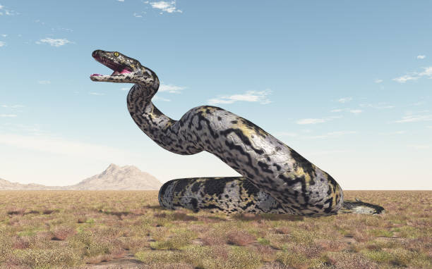 Prehistoric giant snake Titanoboa Computer generated 3D illustration with the prehistoric giant snake Titanoboa anaconda pic stock pictures, royalty-free photos & images