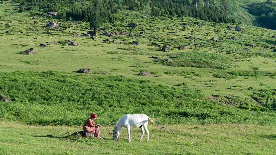 Artvin, Turkey - July 2018: An unidentified woman walks with her horse in Gorgit highland in Blacksea region, Artvin, Turkey