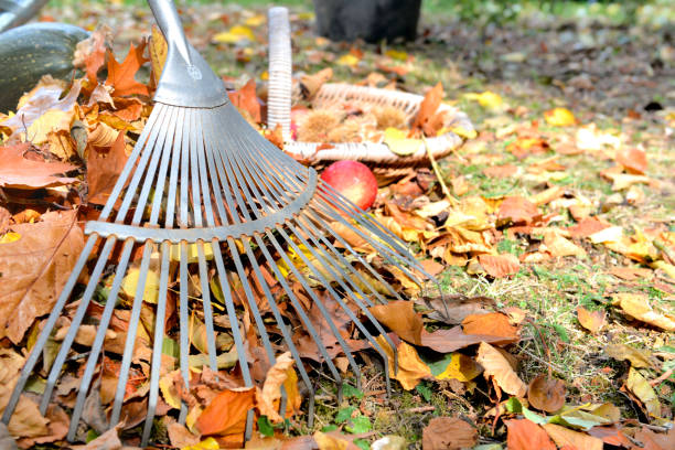 istock rake in leaves 1056232940