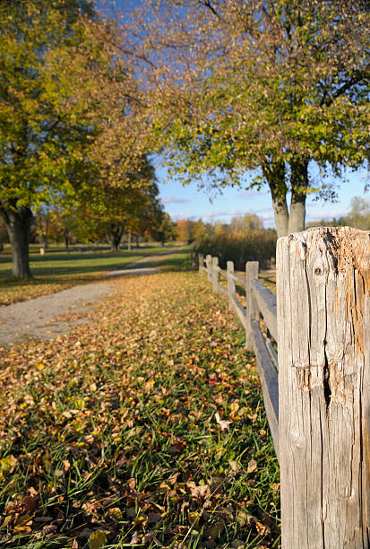 istock Fence in Autumn 105623703