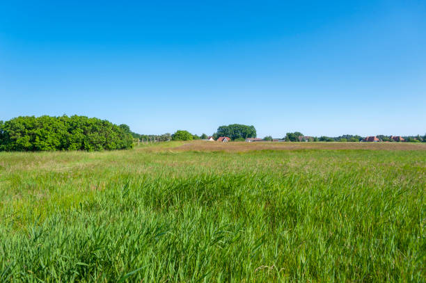 istock Landscape near Baabe 1056238964