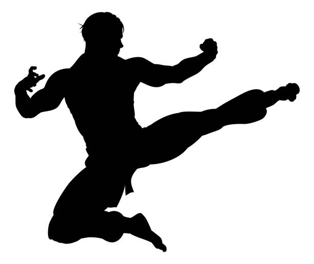 Karate Kung Fu Flying Kick Man Silhouette An illustration of karate or kung fu martial artist delivering a flying kick in silhouette martial arts stock illustrations