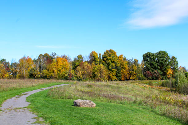istock Autumn in the park 1056245760