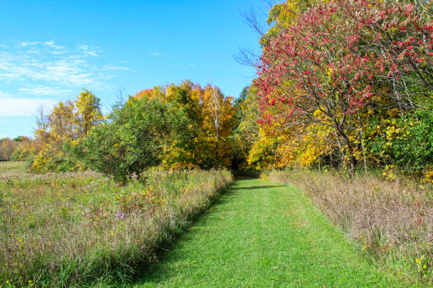 istock Fall foliage on the hiking trail 1056248134