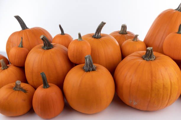 istock Heap of orange pumpkins 1056252298