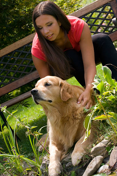 istock Girl with golden retriever 105625358