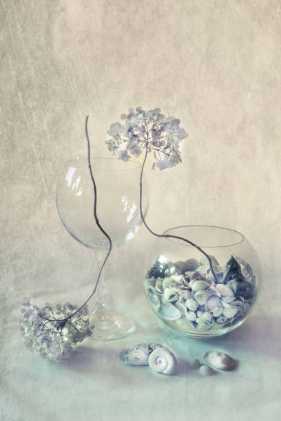 Art still life with sea shells and dry twigs
