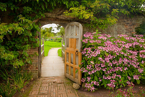 Walled Garden with Hydrangeas  walled garden stock pictures, royalty-free photos & images