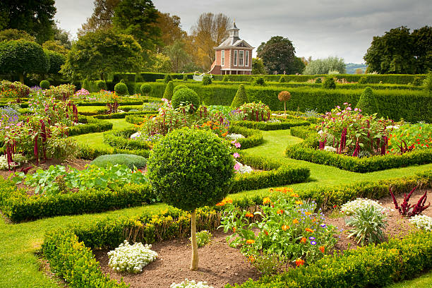 local garden