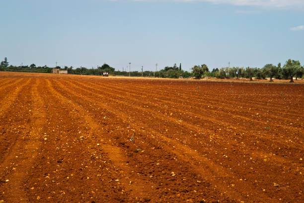 istock Plowed agricultural field . 1056261572