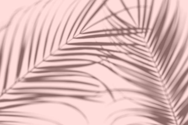 istock Creative layout made of colorful tropical leaves on white background. 1056268038