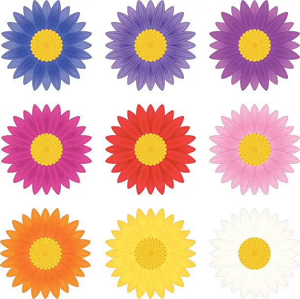 Vector illustration of Colourful Flowers