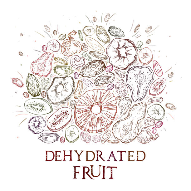 ilustrações de stock, clip art, desenhos animados e ícones de dehydrated fruit pattern - dried apple