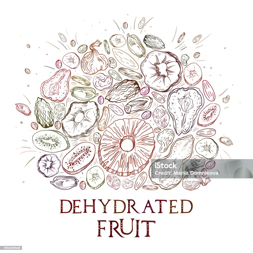 Dehydrated fruit pattern Dehydrated fruit round shape pattern in engraved style with colored elements and lettering. Fully editable color vector illustrations for background or sticker. Dried Fruit stock vector