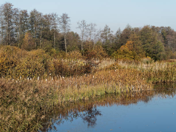 istock Fishing place in autumn 1056269676