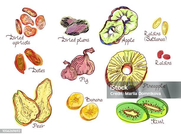 Dehydrated Fruit Set Stock Illustration - Download Image Now - Raisin, Agriculture, Apple - Fruit