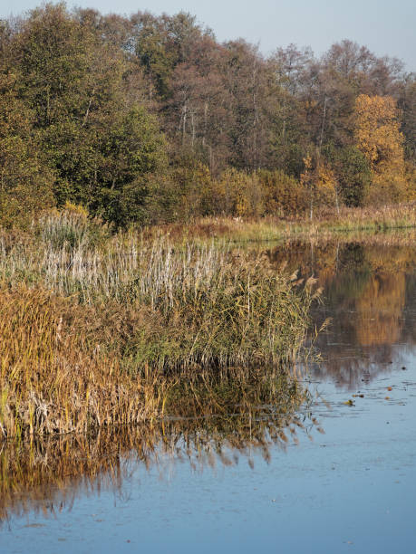 istock Fishing place in autumn 1056269756