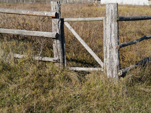 istock Autumn in details 1056269860