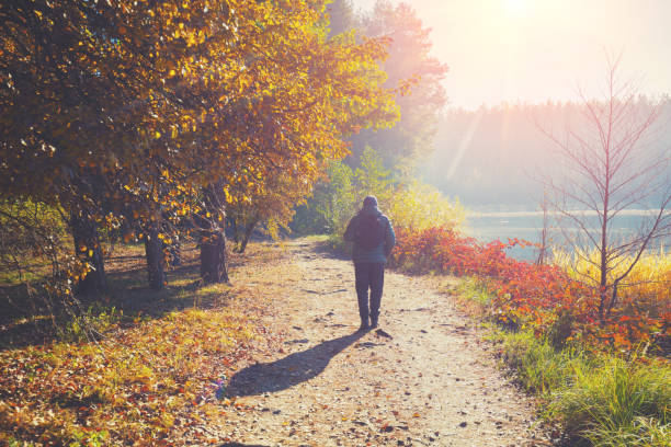 un uomo cammina lungo un sentiero in un parco vicino a un lago la mattina presto in autunno - tree area footpath hiking woods foto e immagini stock
