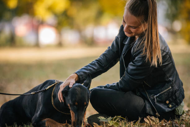 istock Young woman playing with her Doberman 1056274380